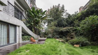 绿色植物，生机勃勃