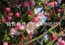 一、 价格大揭秘