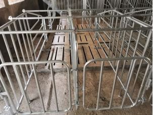 建设现代化猪舍，配套先进设备