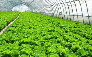 天气预报与实际温度