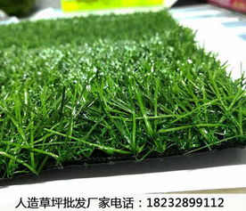 因季节不同而变化的，绿洲草坪种植场对外价格为2-8元一个平方。