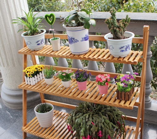 而且它还可依净化空气