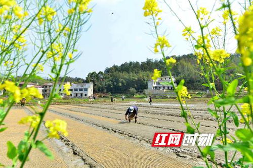 春分：昼夜平分