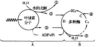 时间：乙草胺消失的节奏