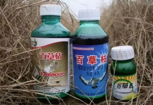 四、百草枯的警示