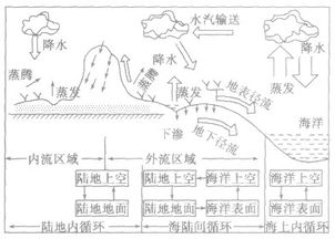 揭秘水循环：高中地理视角下的农业生态平衡