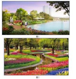 景观设计里的植物大杂烩