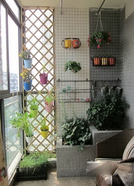 阳台小空间，紫色小花大作用