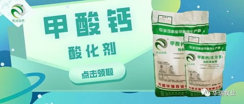 饲料中常用的酸化剂有哪些种类？