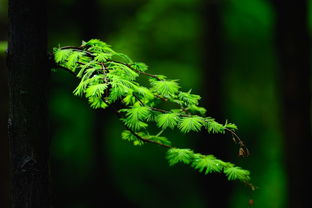 土壤配比有讲究， 不嫩马虎了事
