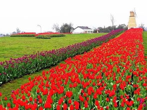 上周三亲眼见证：