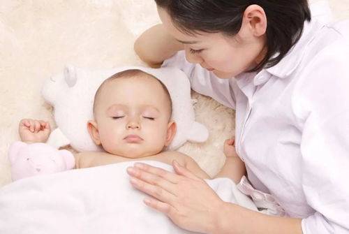 小天使养殖过程中，有哪些特别需要注意的养殖方法和日常照料细节