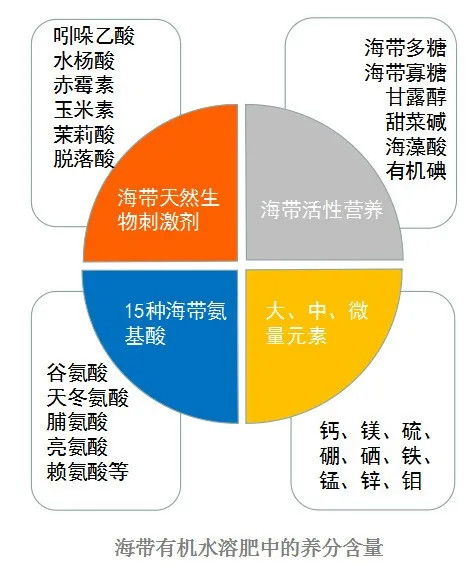 2、 田间地头，实地展示