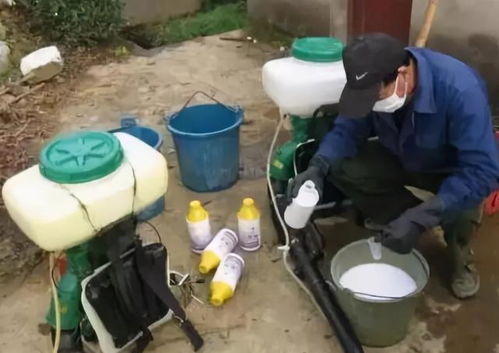 先说说我学的那些杀菌剂吧