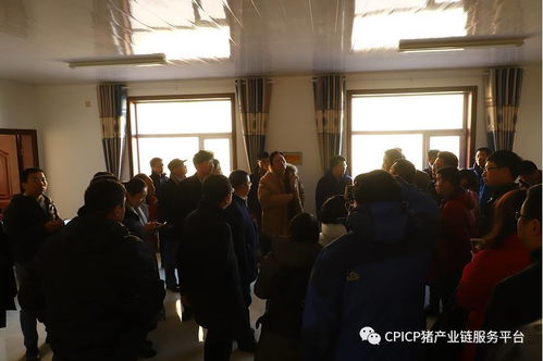 山西大象农牧集团最新饲料公司业务招聘，有哪些具体岗位和要求？