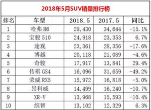 省钱攻略：广场植物选择，降本40%不是梦！