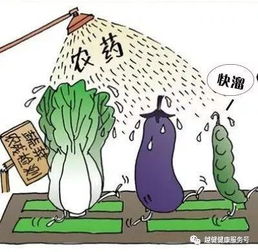 分解农药，第四步：放心享用