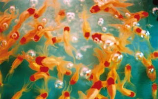 色彩搭配是关键