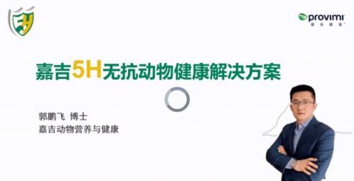 饲料替抗产品有哪些关键技术？小白如何快速掌握其门道？