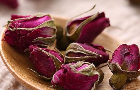 泡水生根的神奇之旅