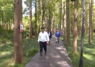 花草树木的生命共同体