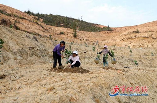 往下挖比堆土靠谱十倍