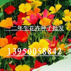 草籽花籽如何保存？如何确保来年发芽率