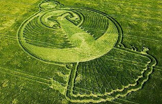 剪发要讲究时机