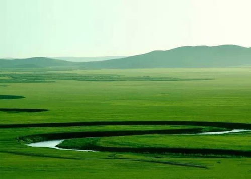 河边的草儿们， 你们守护着河岸的秘密