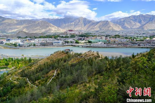 南山公园里的绿色守护者