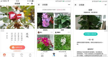 科技与自然的完美结合