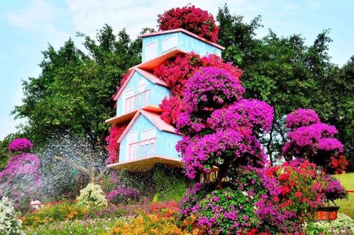 四：品种的选择