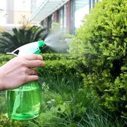 苏州工业园卡车装卸区，草种经受考验