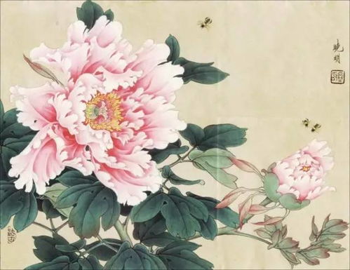 “国色天香牡丹艳，花开富贵谁家院