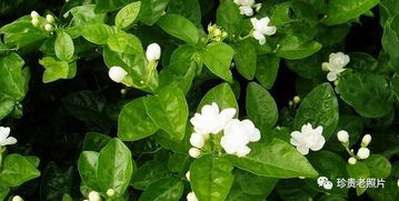 第一步：紧急泡脚