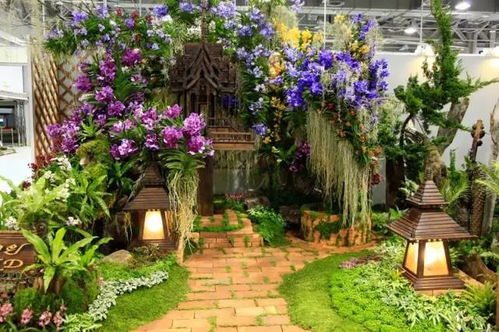 0元打造春花园，邻居以为我偷偷开了花店！