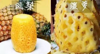 菠萝表皮粗糙，凤梨光滑