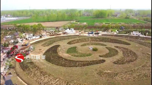 月季山滑雪场：冰雪与花朵的交融