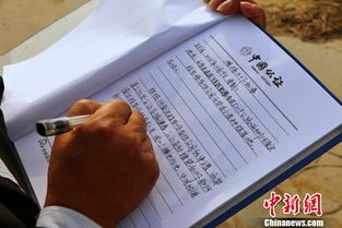 购买农药， 注意事项要记牢