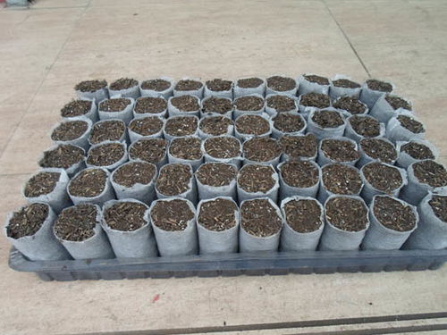 基质配置， 有讲究