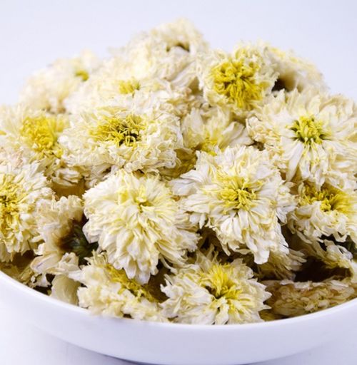 菊花茶的保质期一般是多久？过了保质期会有什么影响