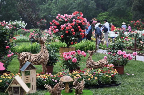 ：用心呵护，收获美好