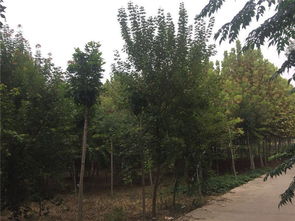 影响因素大汇总