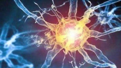 植物神经紊乱是什么引起的？生活压力大可能是元凶
