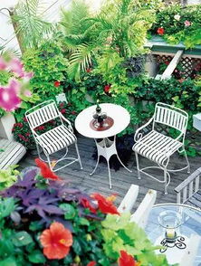 北方庭院，冬暖花开的秘密