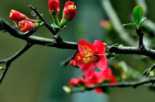 土壤问题也关键