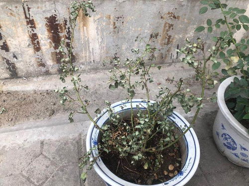 亲身实践寻答案