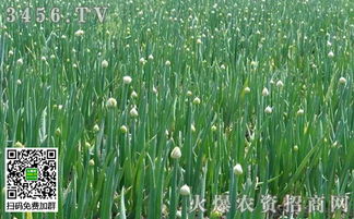 邻居无辜躺枪，赔偿问题成难题