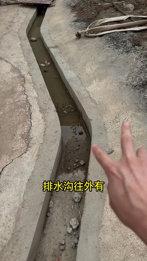 三、 排水沟丝网整体生态护坡技术