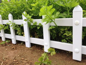 绿化设计：打造动态画卷